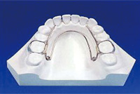 ���ɤ�ζ��� BH01