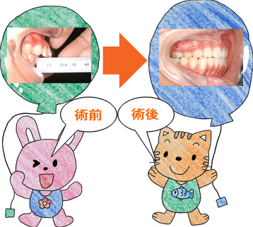 ���ɤ�ζ��� �����̿�