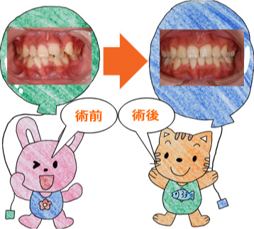 ���ɤ�ζ��� �إåɥ����̿�