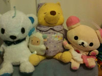 �Ϥʤ������å��ƥ��٥�� �ܡ����ꥲ����2