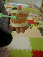 �Ϥʤ������å�����֤Υ��٥���ͻ� �ϥߥ�����Ƴ