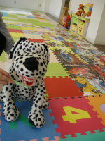 �Ϥʤ������å�����֤Υ��٥���ͻ� �ϥߥ�����Ƴ