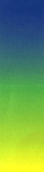 �ã��ԥƥ��ȿ�