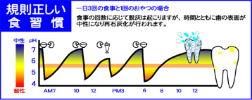 �ե��� ��§������������