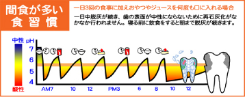 �ե��� �ֿ���¿��������